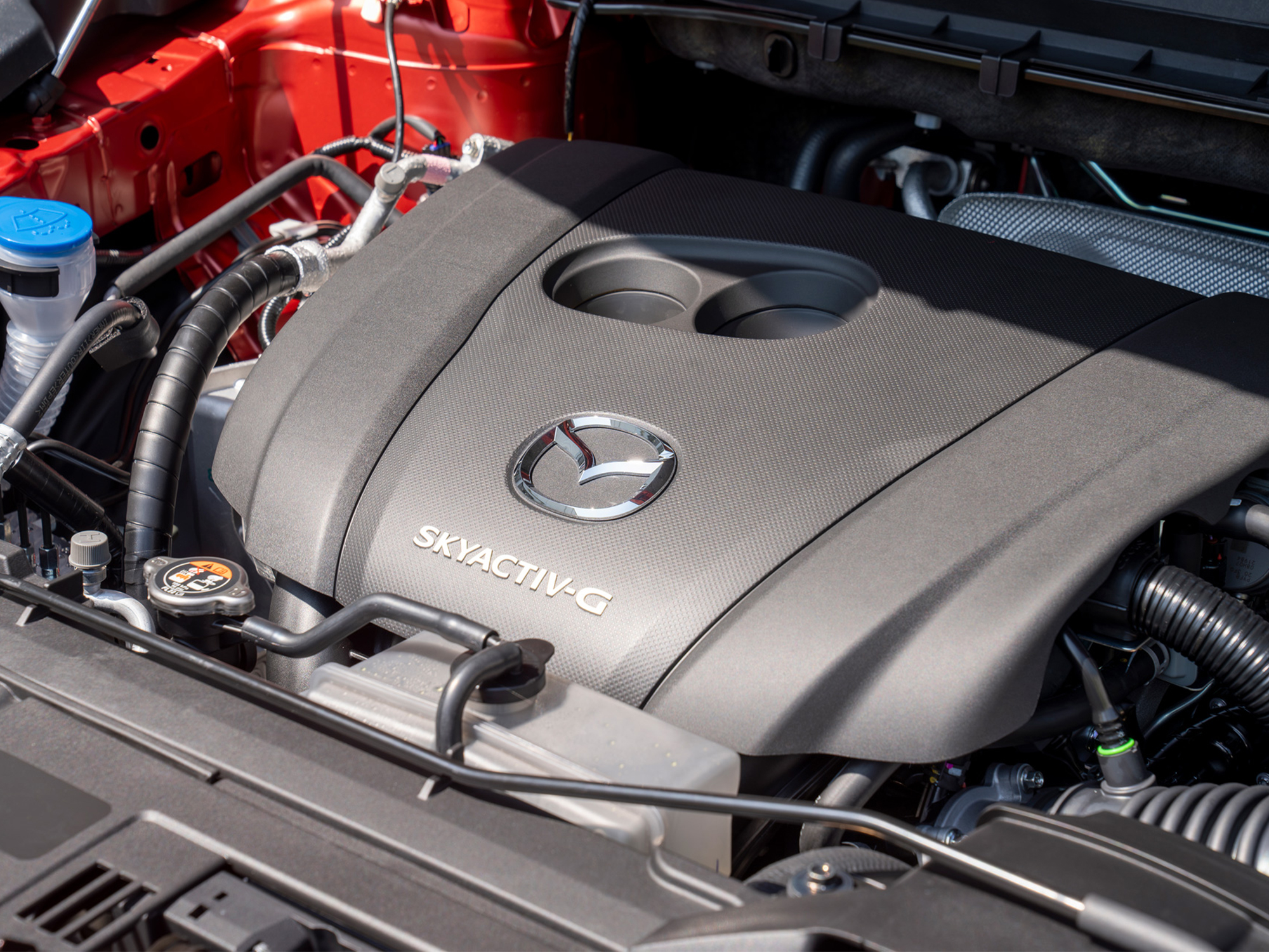 DSC07609 Enhanced NR